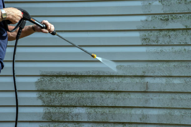 Best Pressure Washing Services for Businesses  in Mahnomen, MN